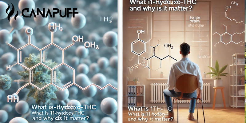 What is 11-Hydroxy-THC and Why Does It Matter?
