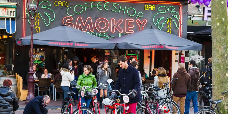 Top Coffeeshops in Amsterdam 2024: Die besten Orte für Cannabis-Canapuff