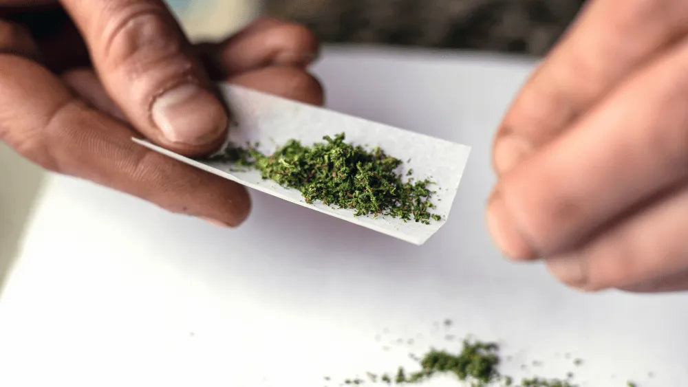 THC-H Wirkungen und wie man es verwendet