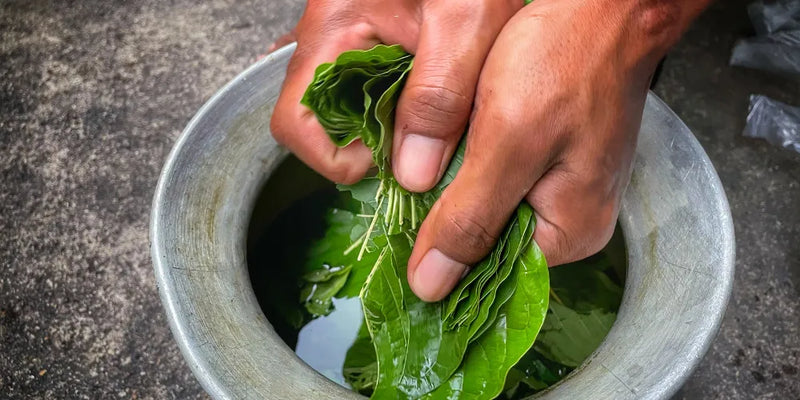 Wie viel Kratom soll ich nehmen?
