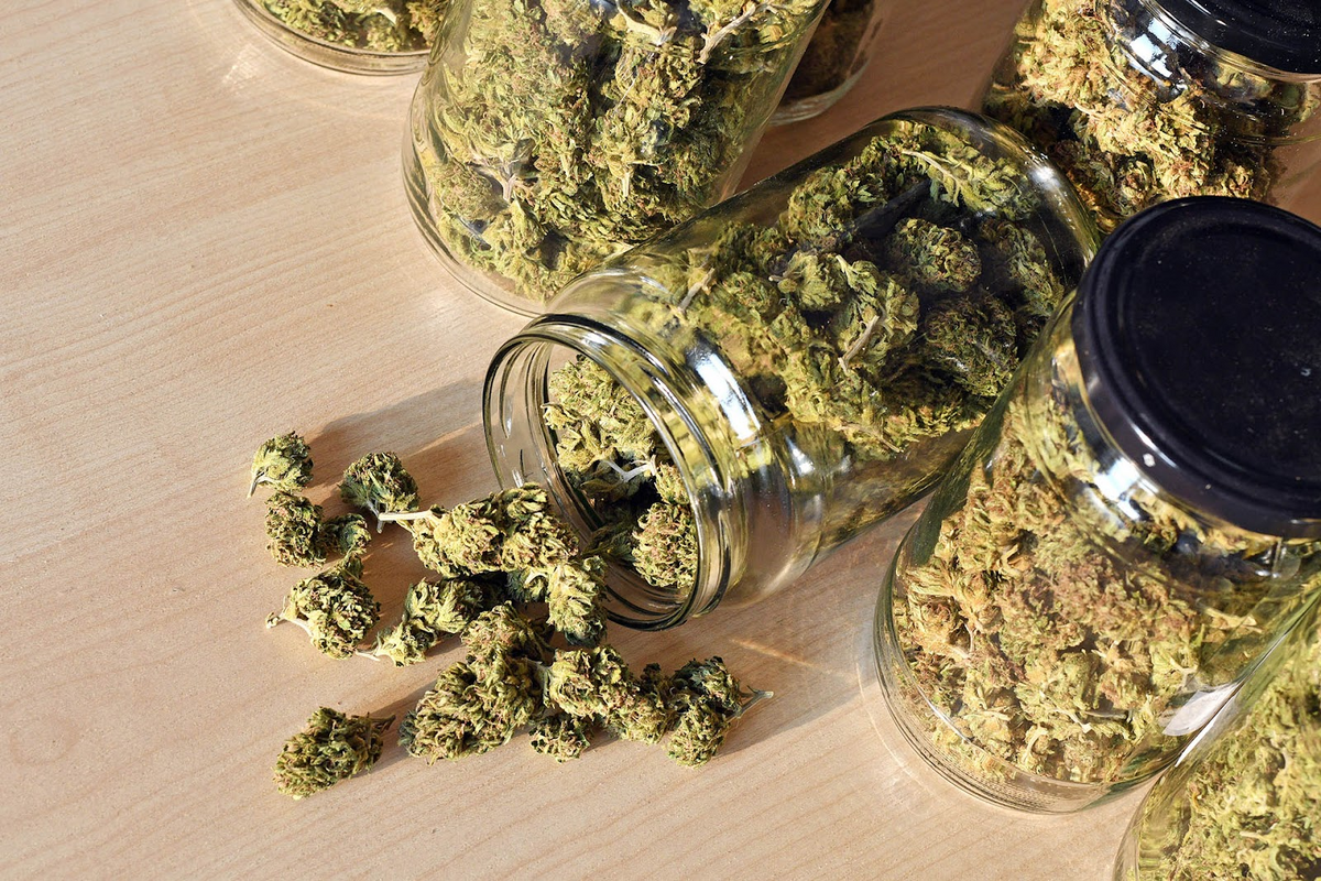 Glass jars filled with dried cannabis flower on wooden surface