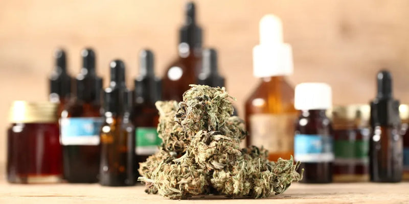 how long does cbd last