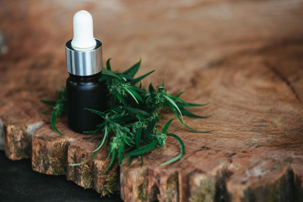 THCA: Vorteile, Anwendung und Top Cannabis Strains-Canapuff