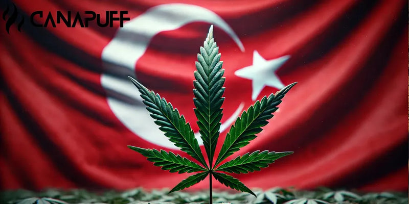Ist Weed in der Türkei legal?