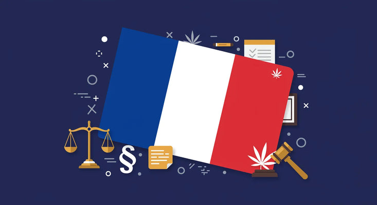 Frankreich-Flagge mit Rechtselementen darauf