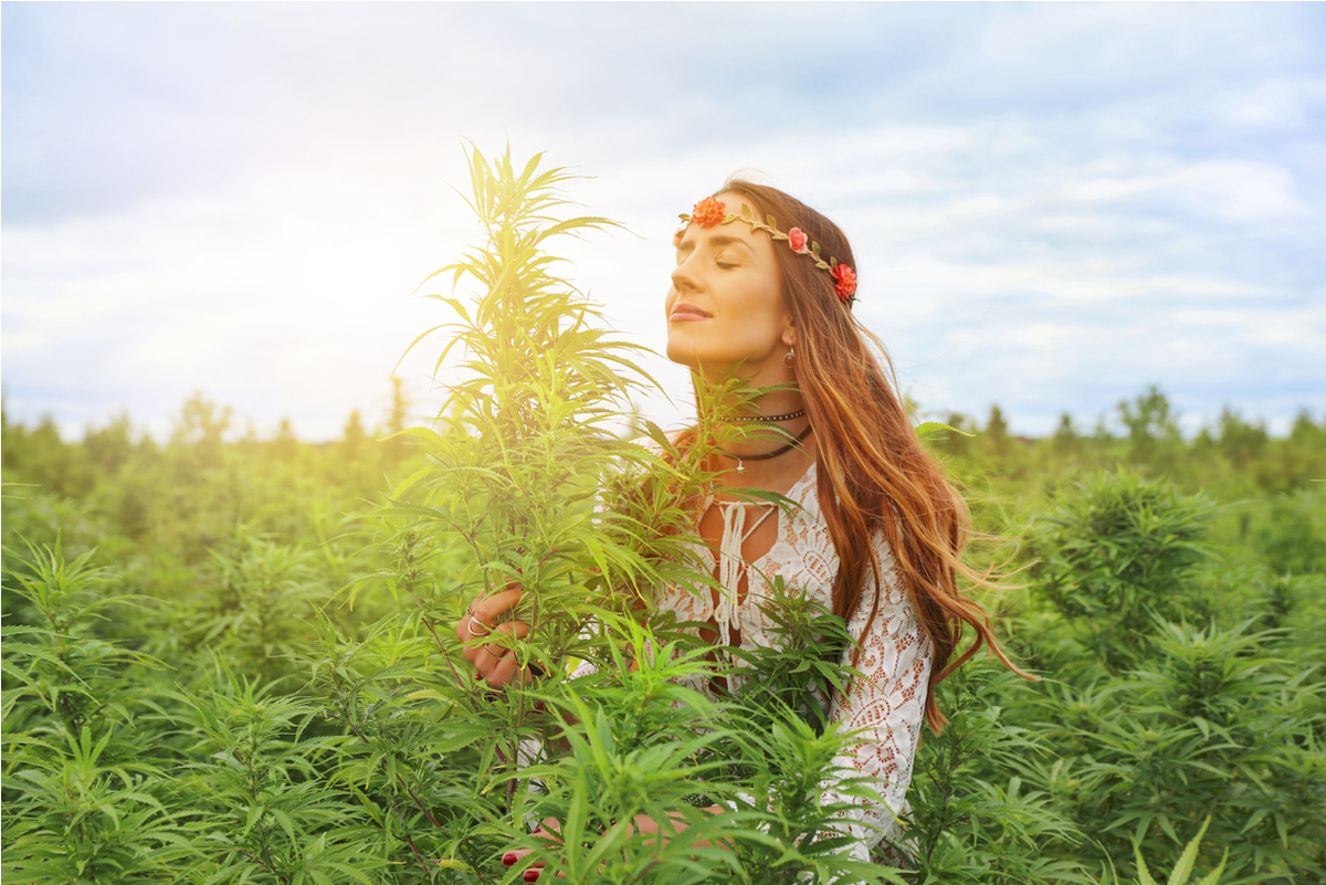 Woman with flower crown in blooming cannabis field under blue sky