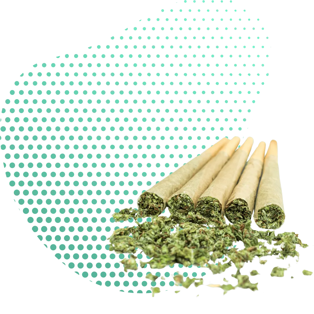 CBG9 Verbindungen/Joints-Canapuff