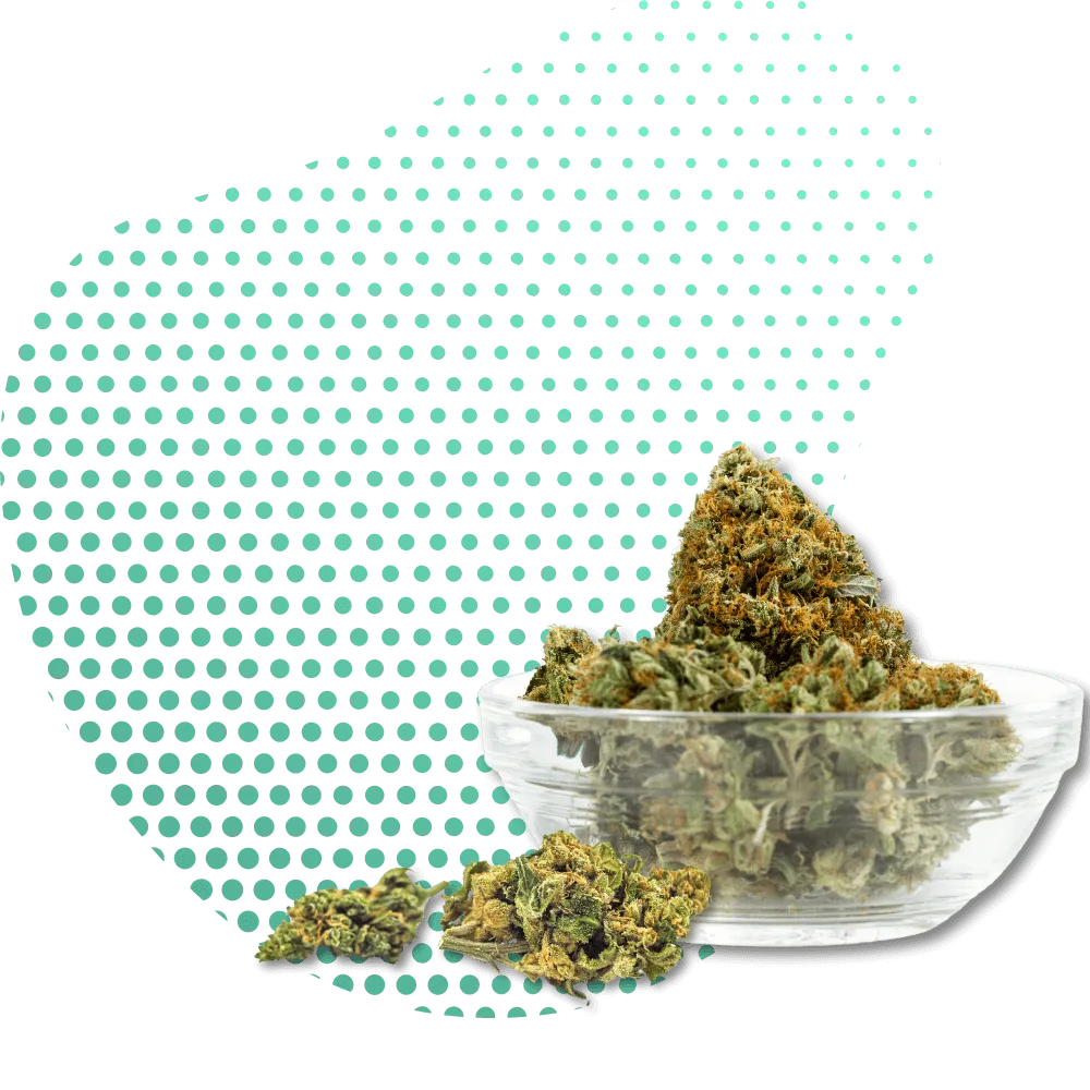 10-OH-HHC Blüten-Canapuff