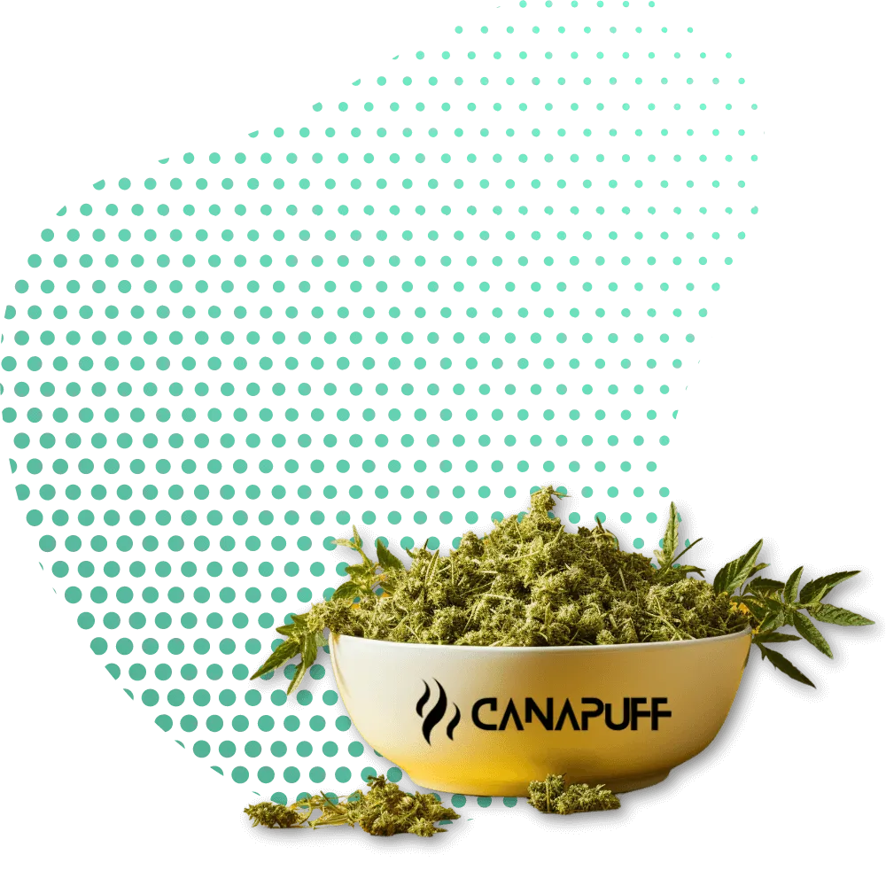 Canapuff Blüten-Canapuff