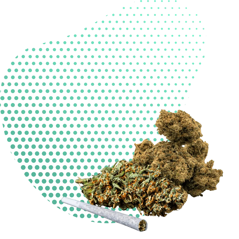 THP420 Blüten-Canapuff