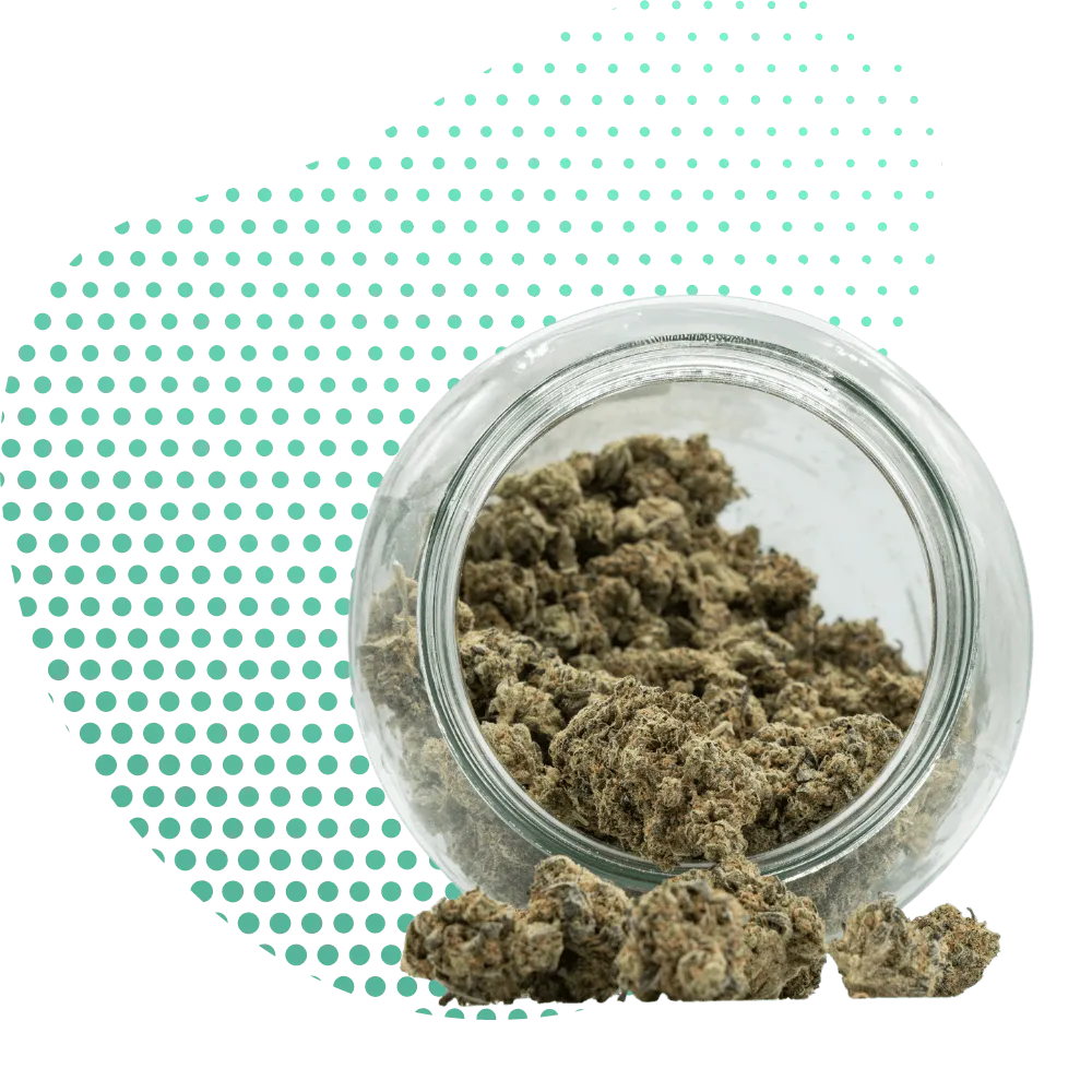 10-OH-THC Blüten-Canapuff