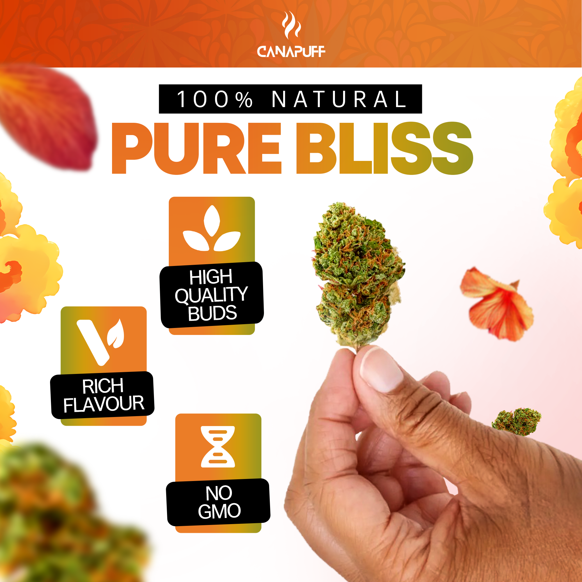 Canapuff - Gelonade 65% - HHC-A Flowers-Canapuff