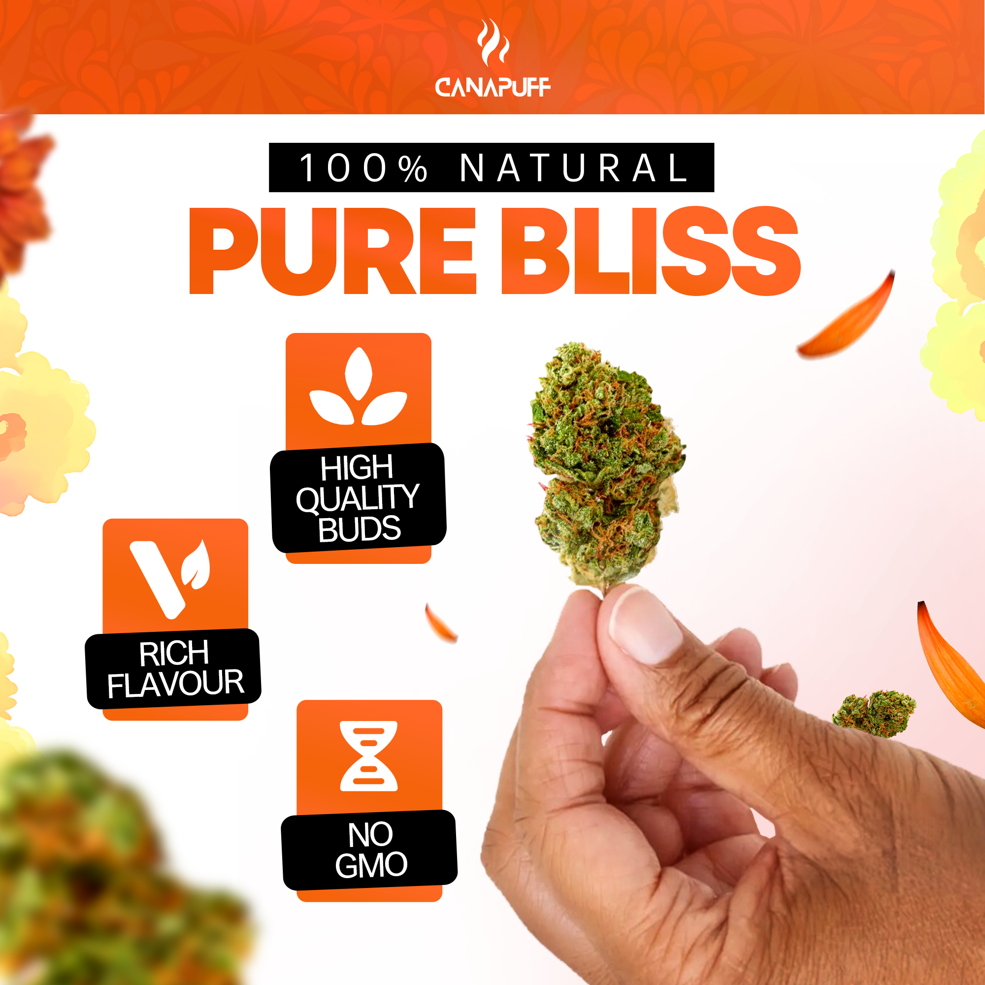 Canapuff - Green Crack 65% - HHC-A Blüten-Canapuff