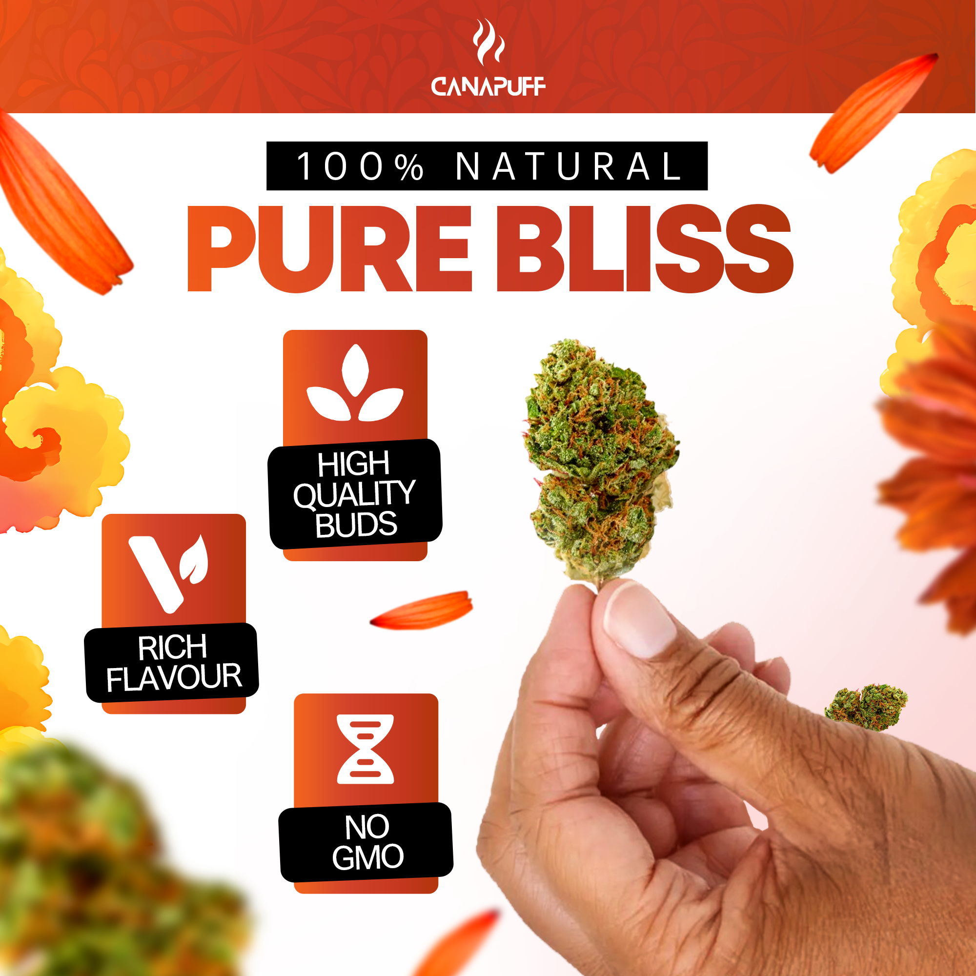 Canapuff - Tangie Dream 65% - HHC-A Blüten-Canapuff