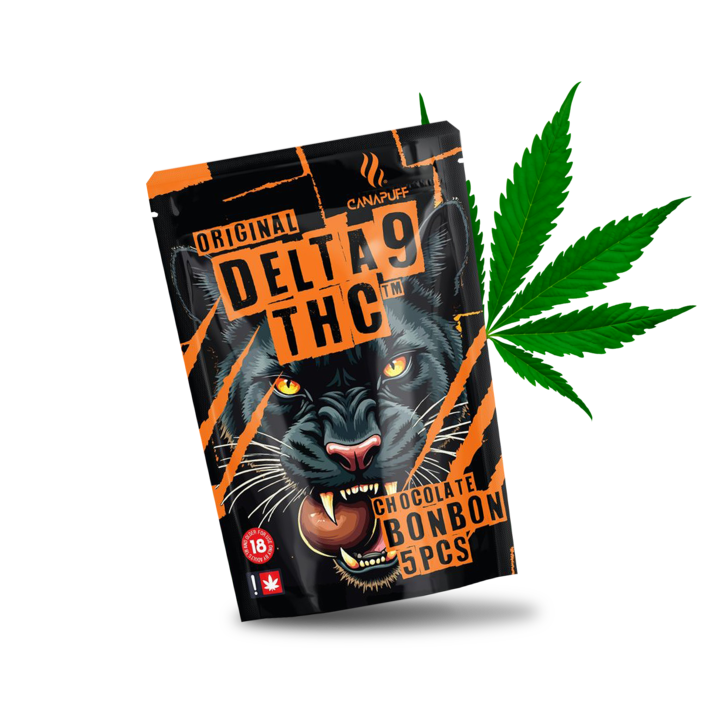 Chocolate Bonbon - Delta-9 THC