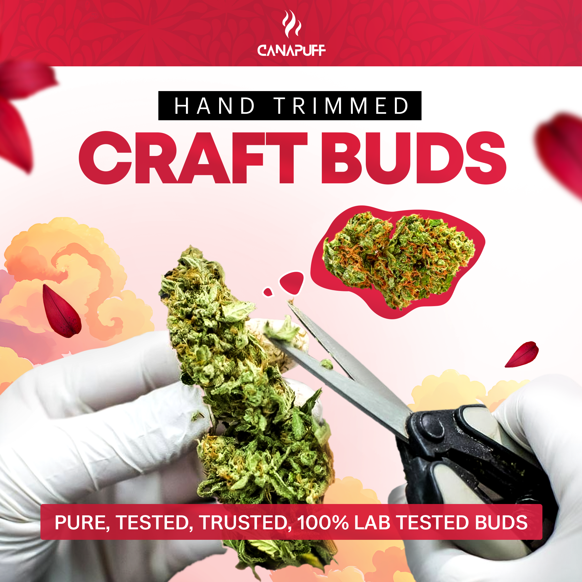 Canapuff - Lemon Cherry Gelato 65% - HHC-A Blüten-Canapuff