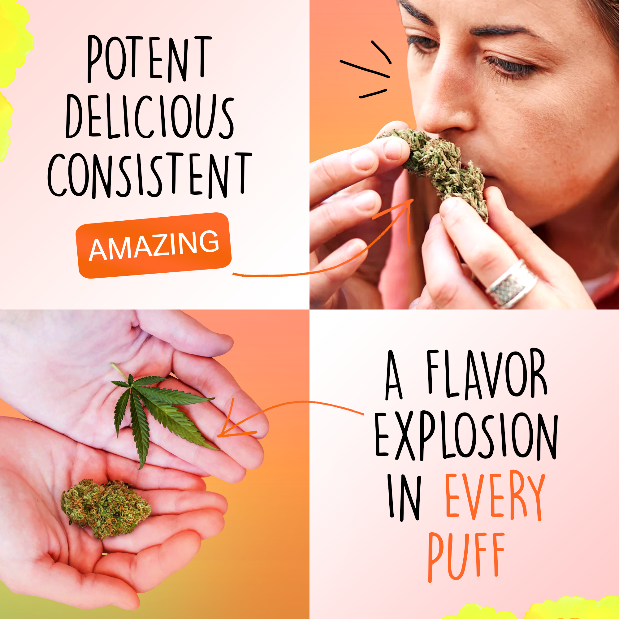 Canapuff - Green Crack 65% - HHC-A Blüten-Canapuff