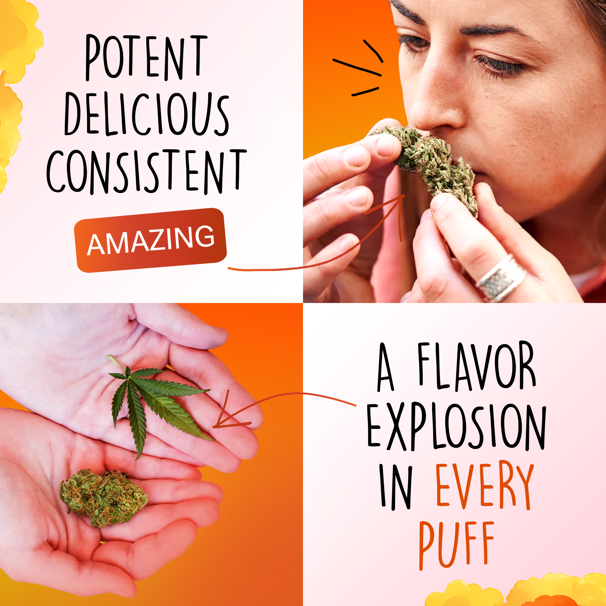 Canapuff - Tangie Dream 65% - HHC-A Flowers-Canapuff