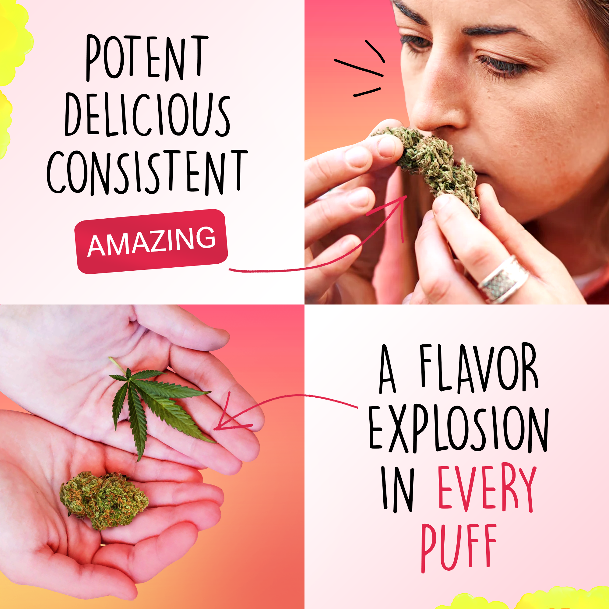 Canapuff - Lemon Cherry Gelato 65% - HHC-A Blüten-Canapuff