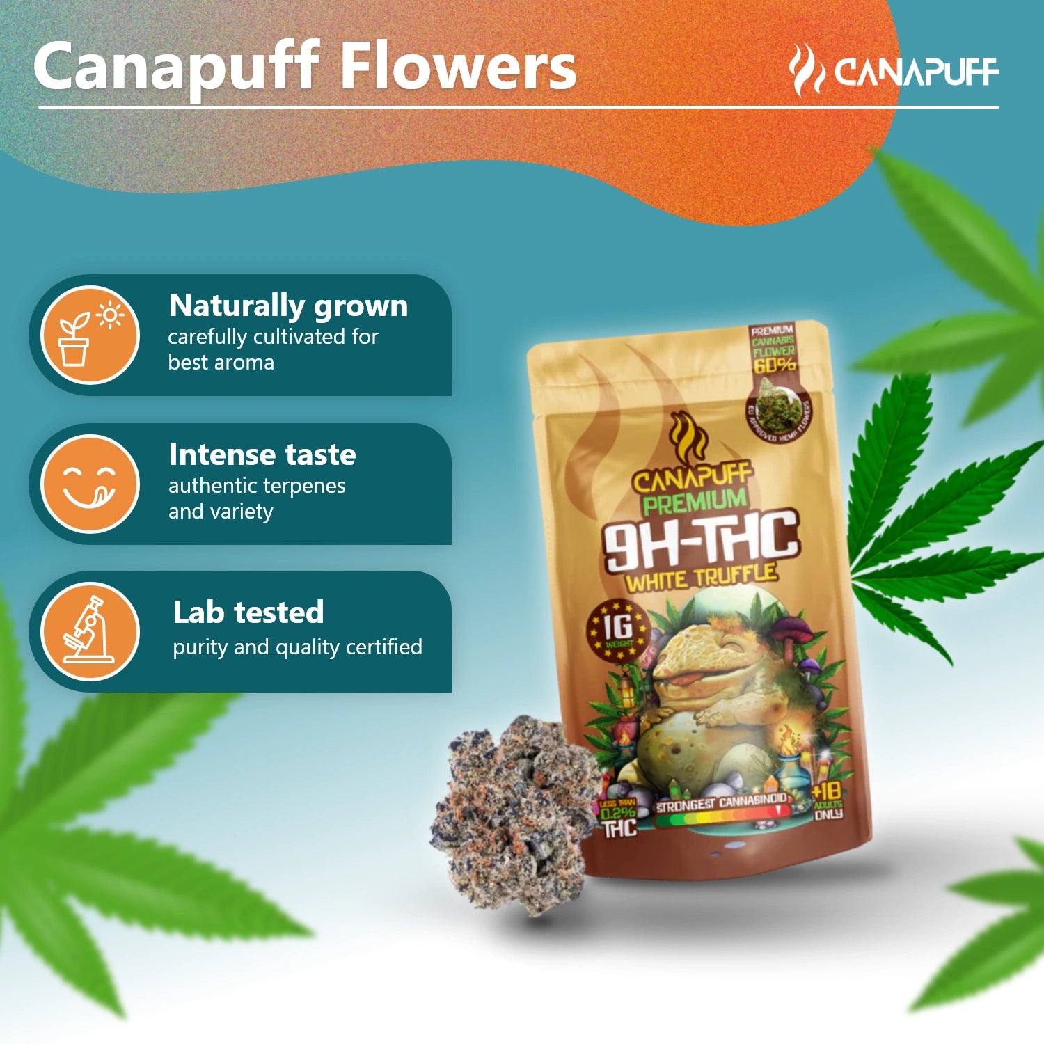 9H-THC Blüten White Truffle 99%