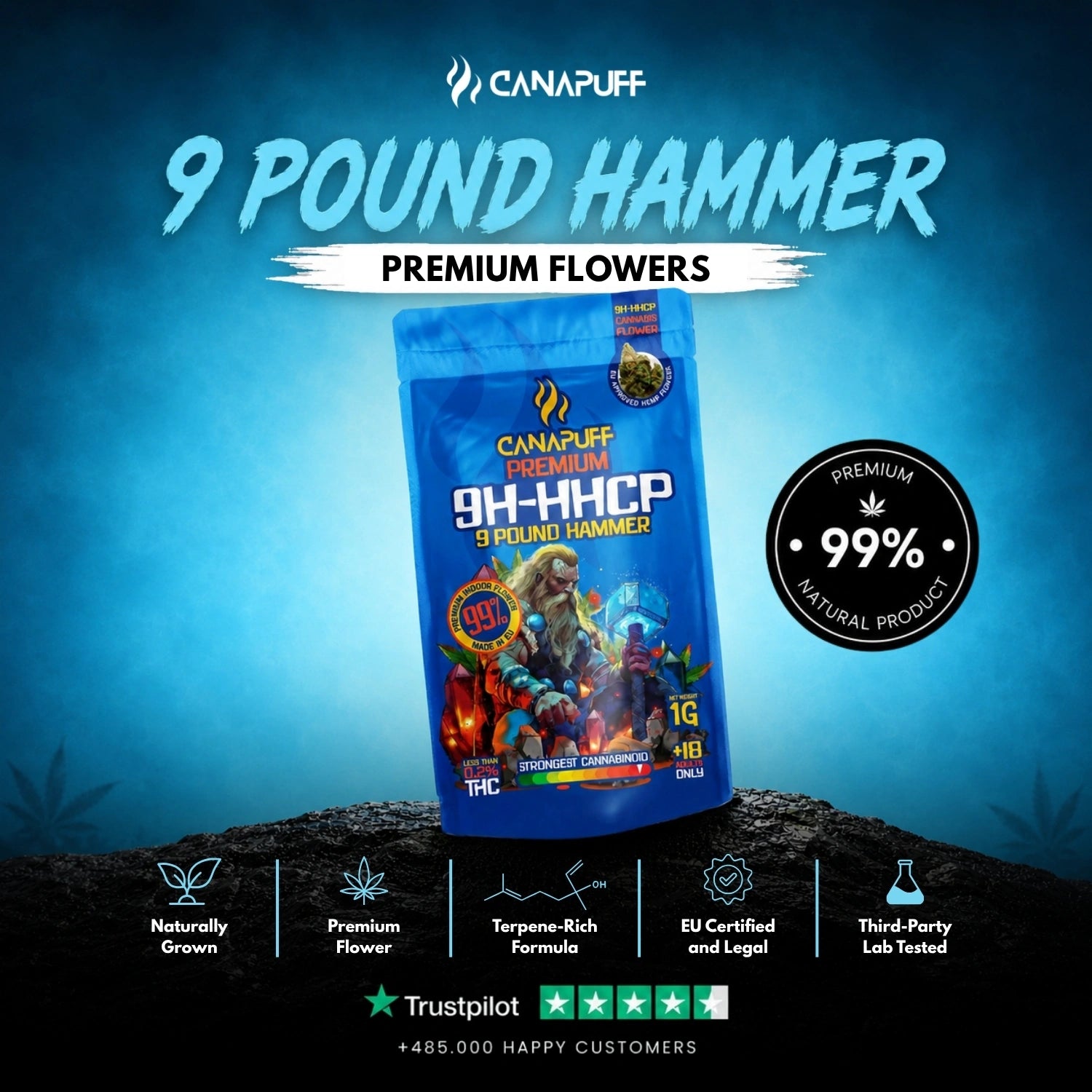 9H-HHCP Blüten 9 Pound Hammer 99%