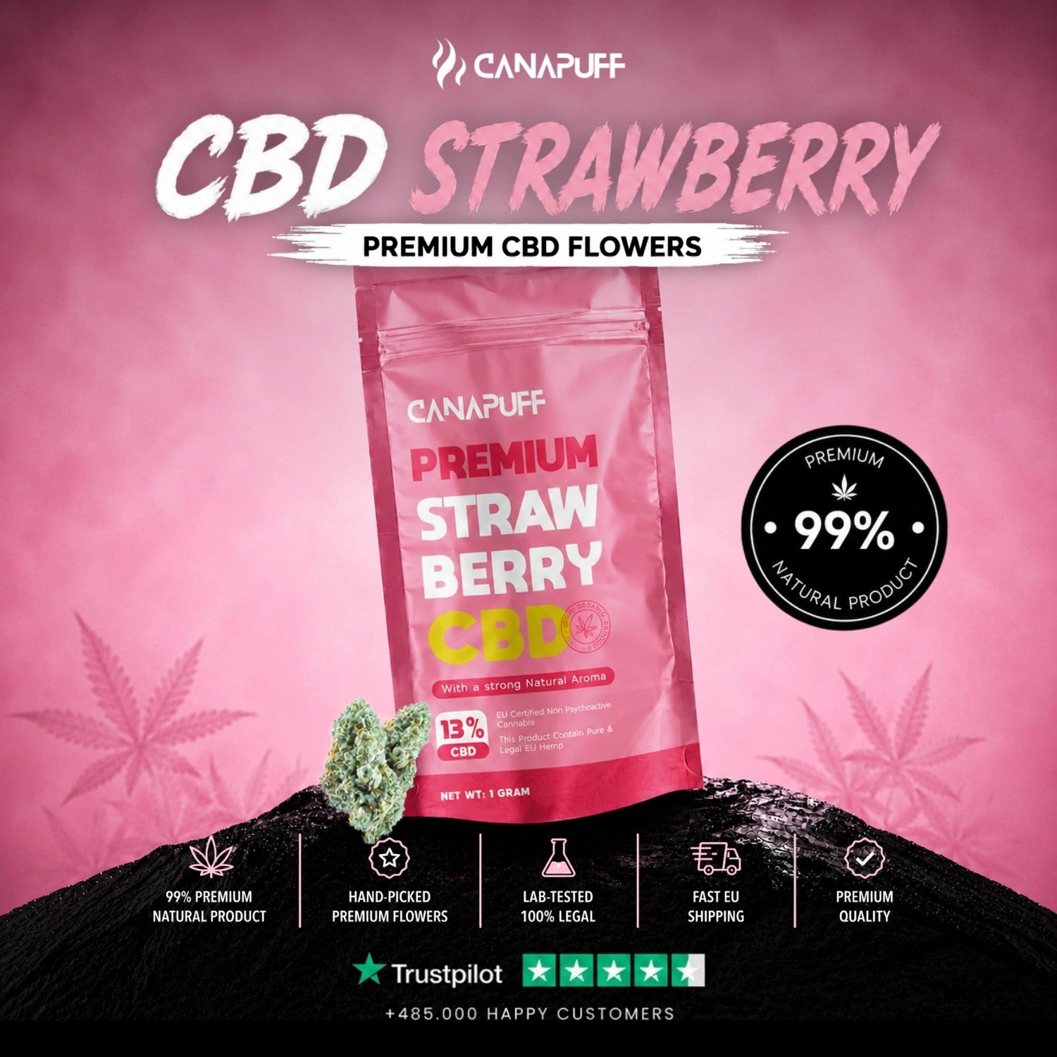 CBD Blüten Strawberry 13%