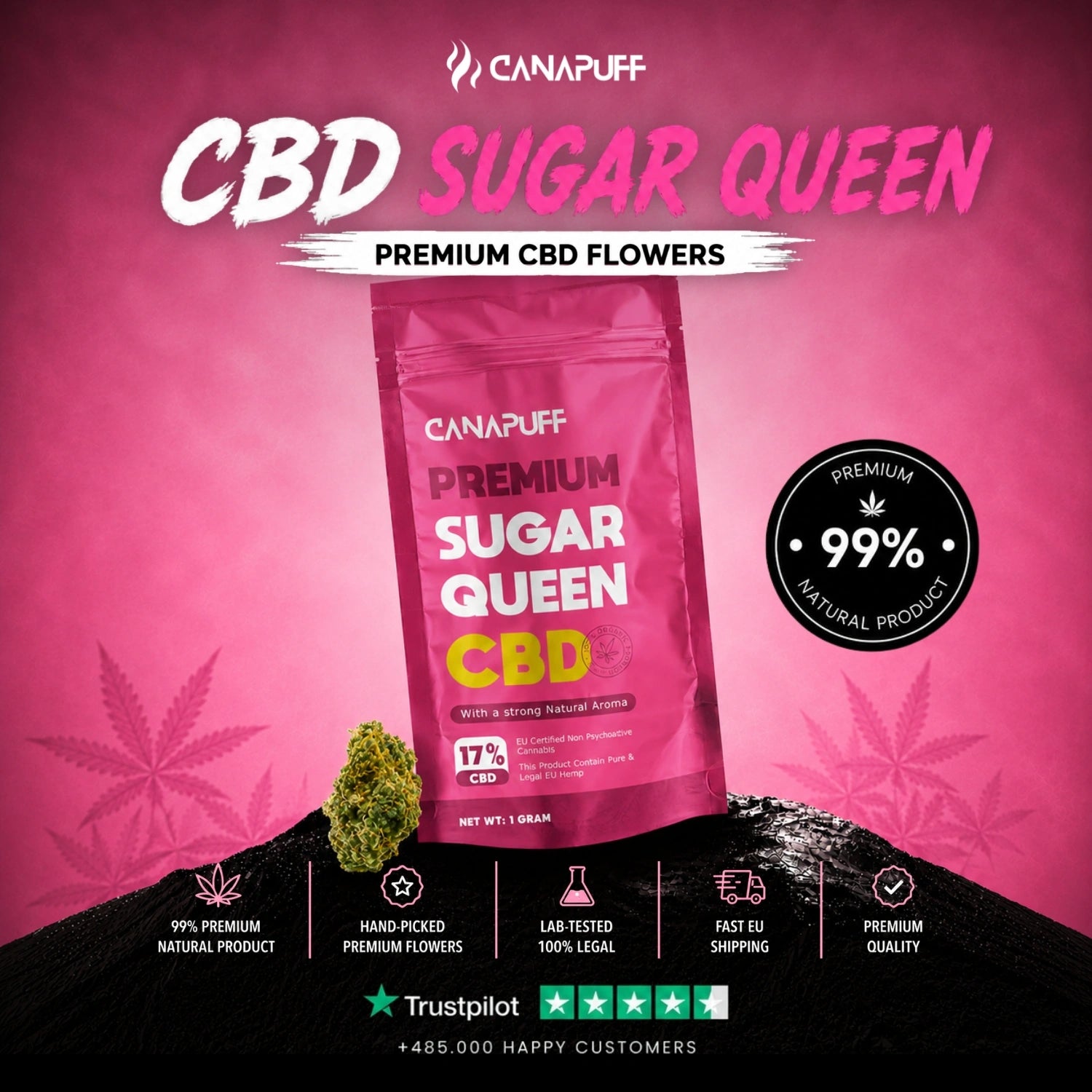CBD Blüten Sugar Queen 17%