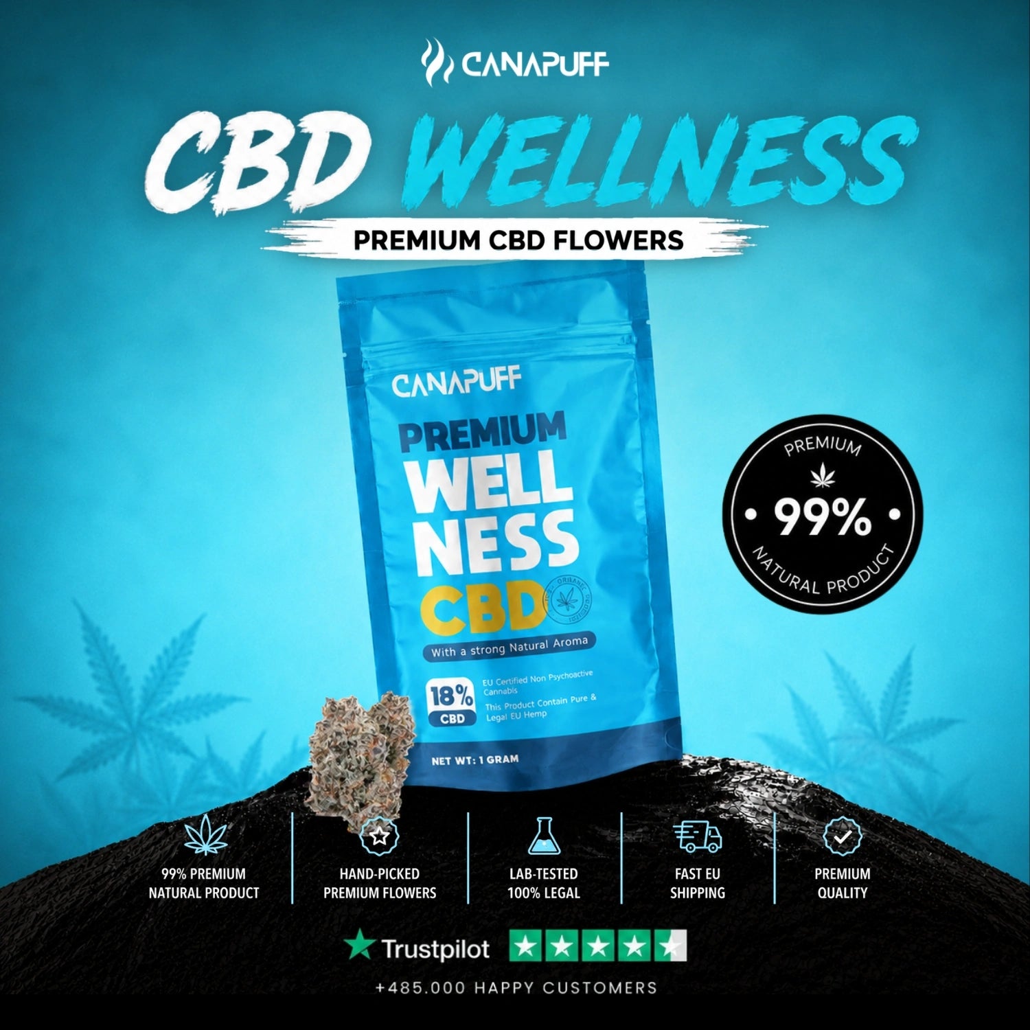 CBD Blüten Wellness 18%