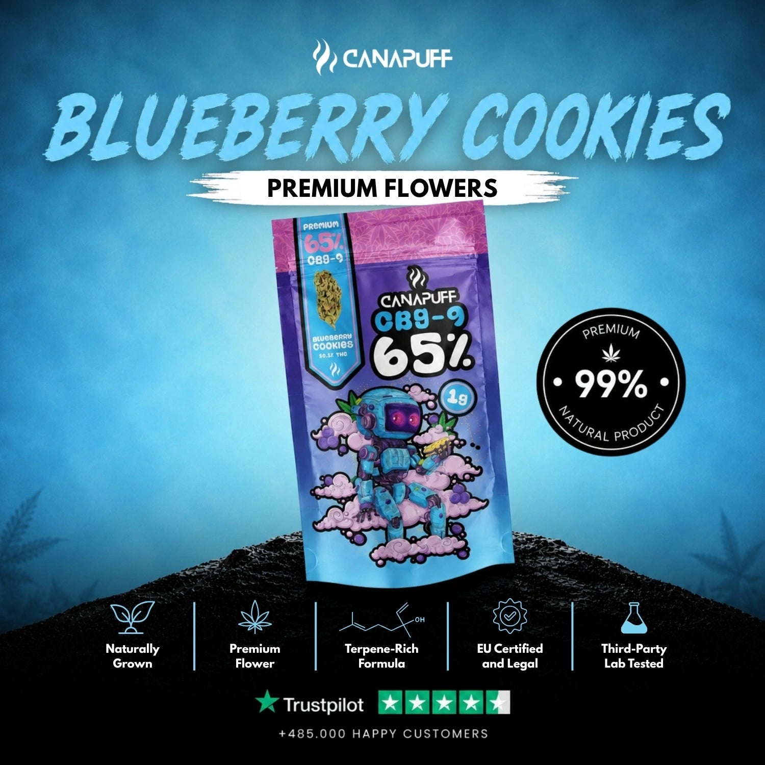 CBG9 Blüten Blueberry Cookie 65%