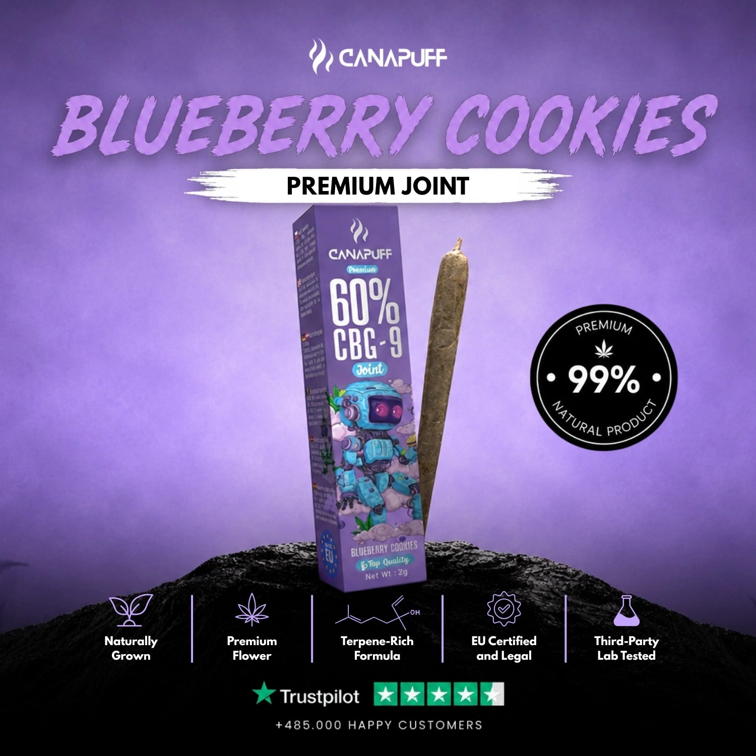 CBG9 Joint Blaubeere Cookies 60% 2g