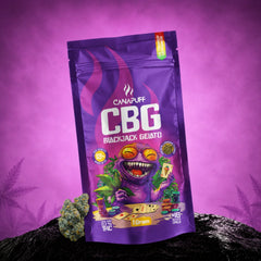 Canapuff CBG Blackjack Gelato άνθη 69%, σακουλάκι 1 γραμμαρίου