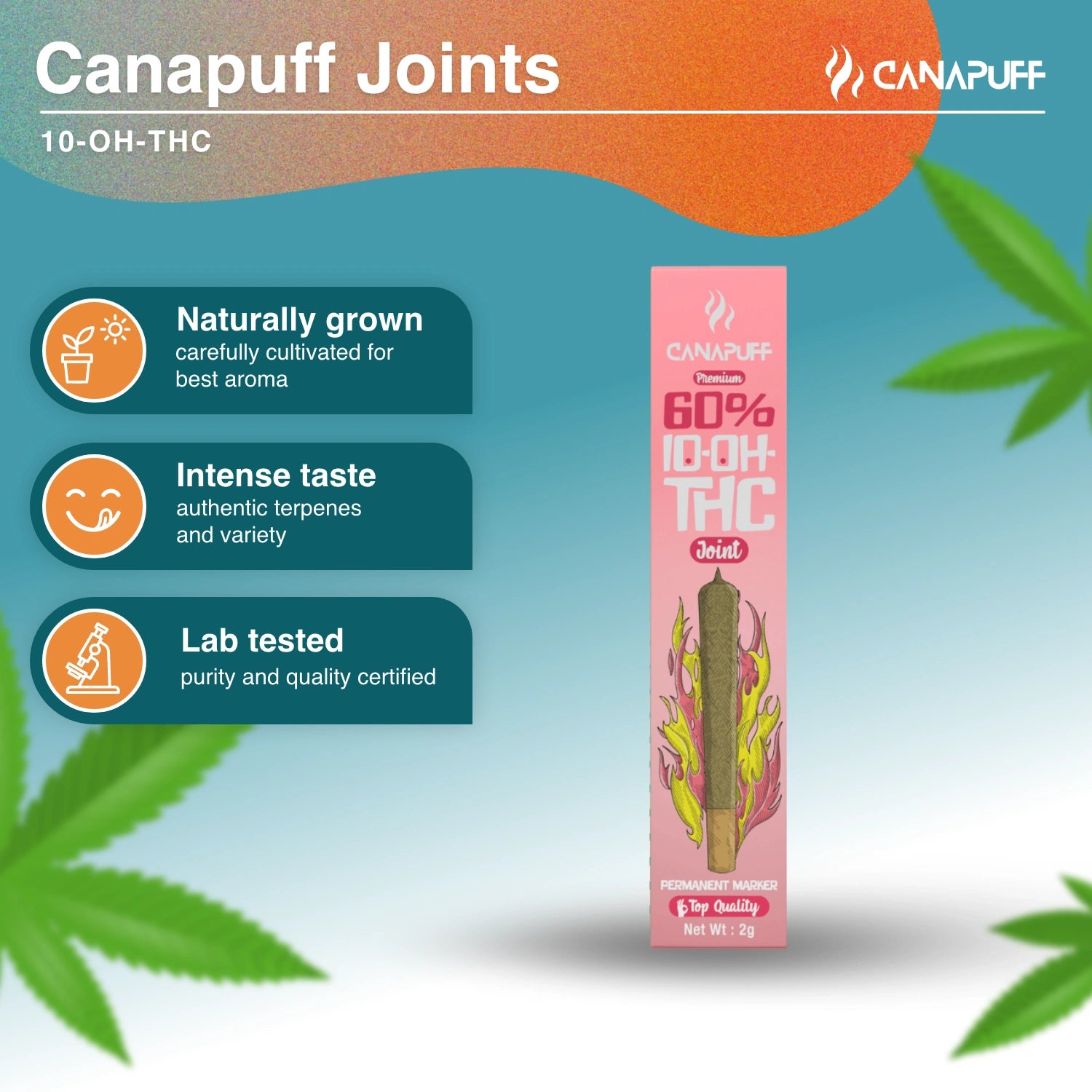 Permanent Marker 60% 10-OH-THC Joint 2g - Canapuff