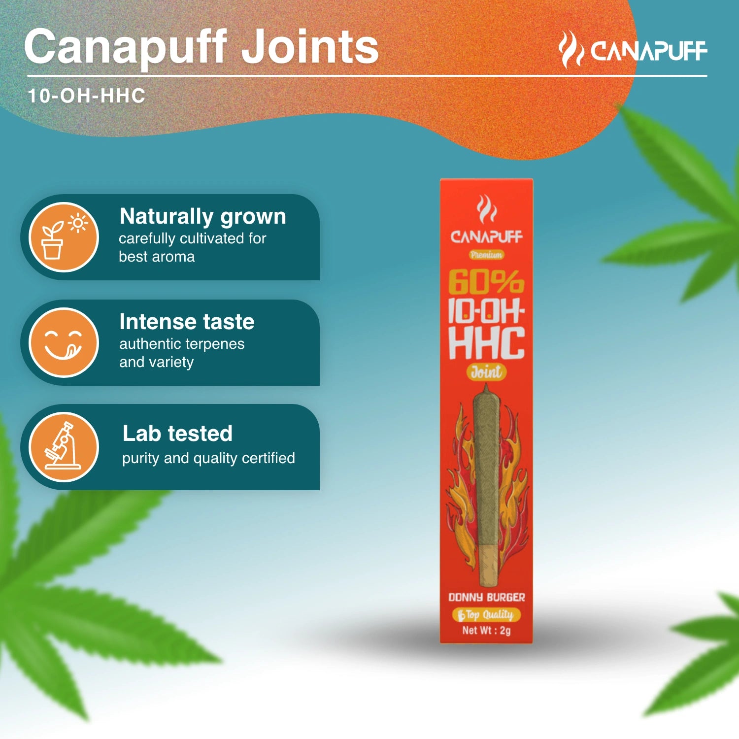 Donny Burger 60% 10-OH-HHC Joint 2g - Canapuff