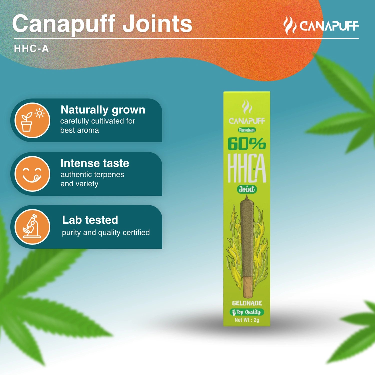 HHC-A Joint 60% Gelonade 2g - Canapuff