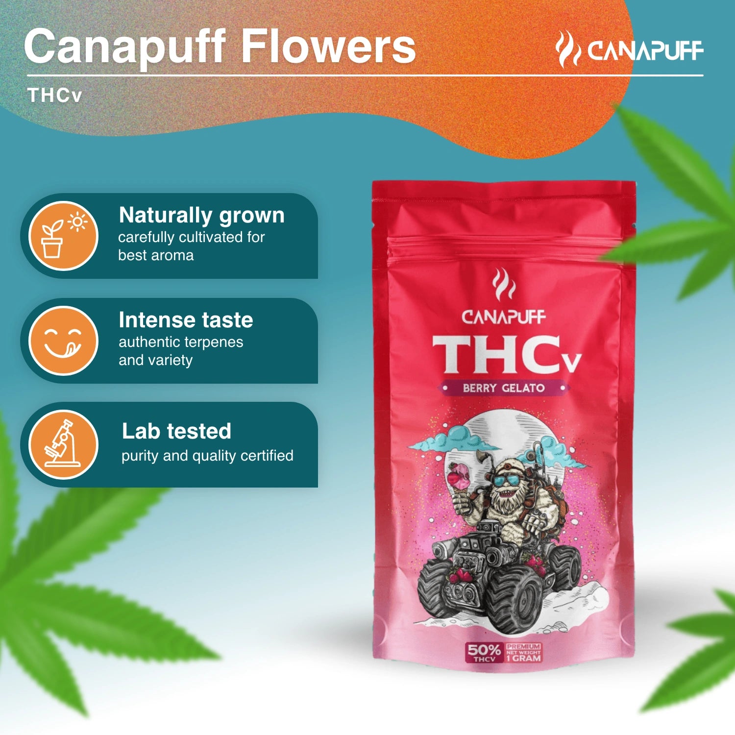 Berry Gelato 50% - THCv Flowers - Canapuff