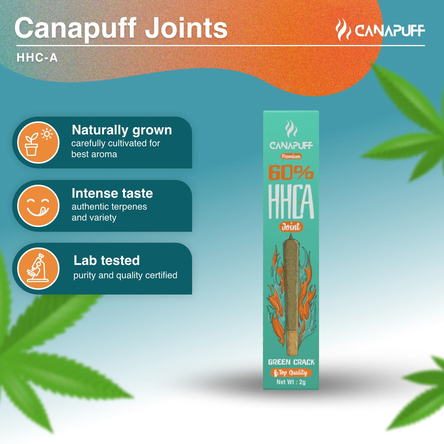 HHC-A Joint 60% Green Crack 2g - Canapuff