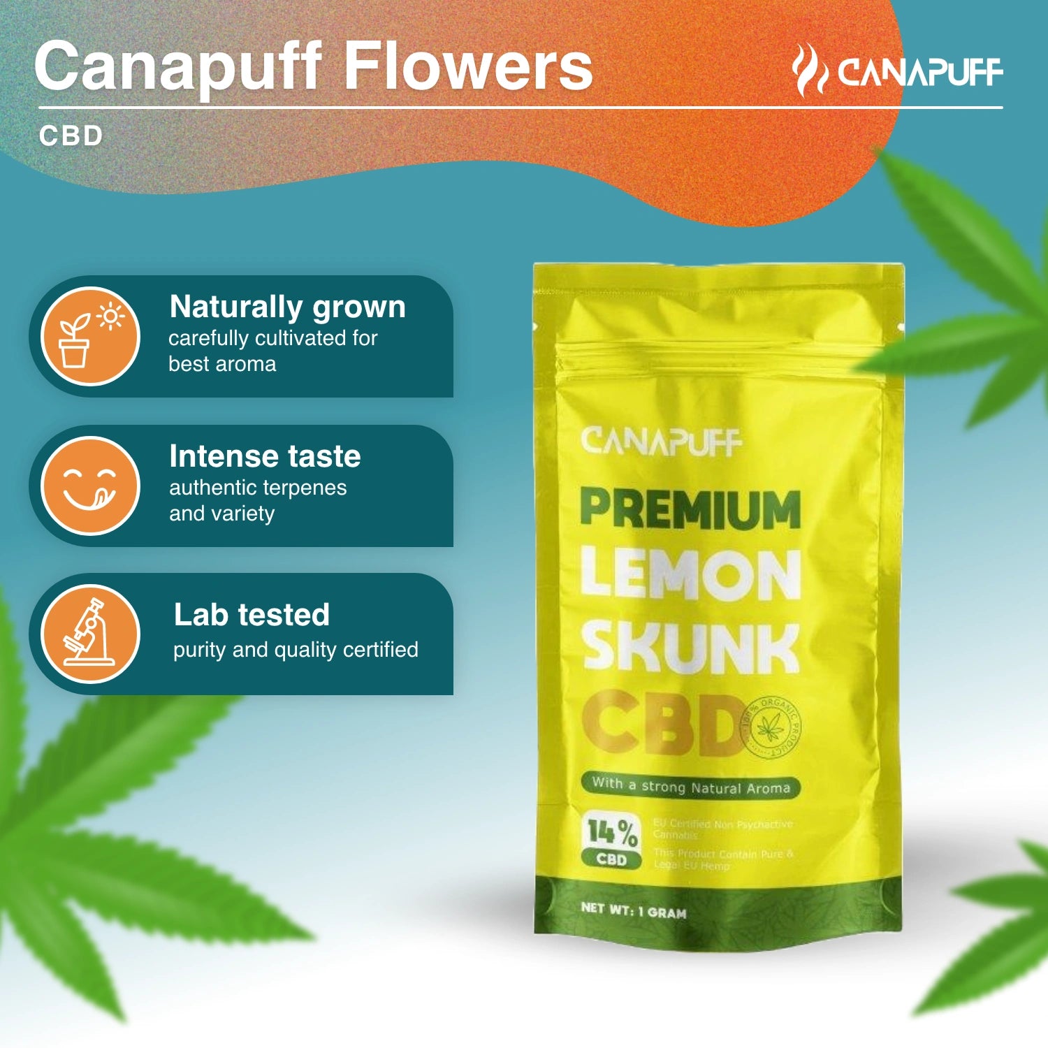 Lemon Skunk 14% - CBD Blüten - Canapuff