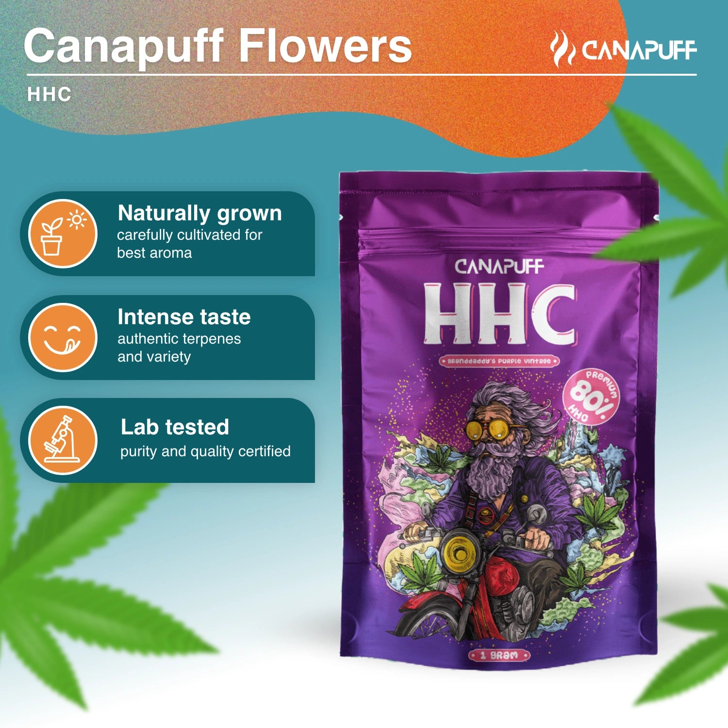 Grandaddy's Purple Vintage 80% - HHC Blüten - Canapuff