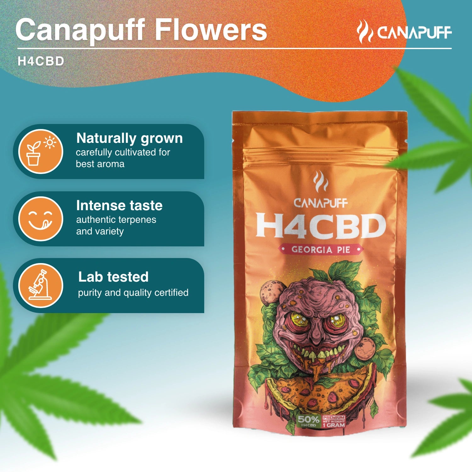 Georgia Pie 50% - H4CBD Blüten - CanaPuff