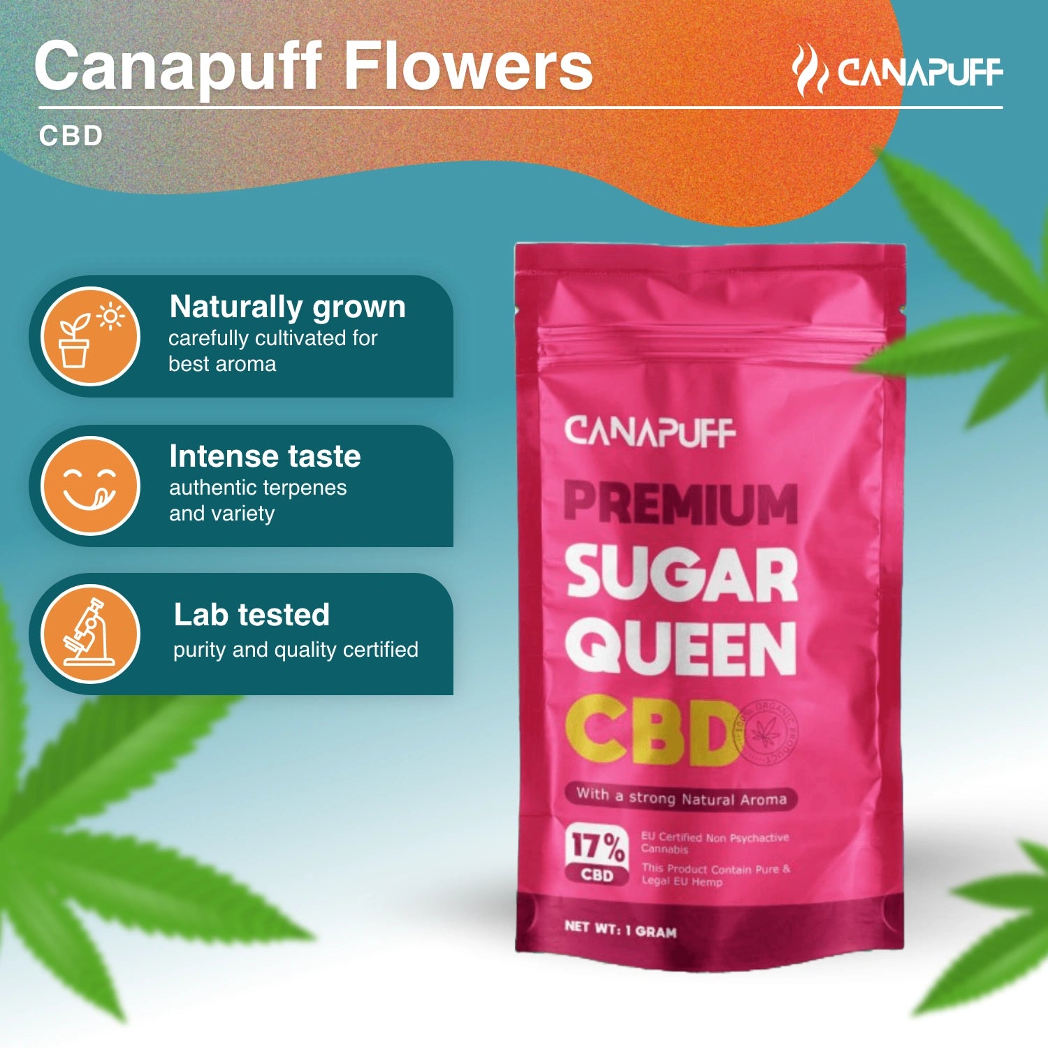Sugar Queen 17% - CBD Blüten - Canapuff