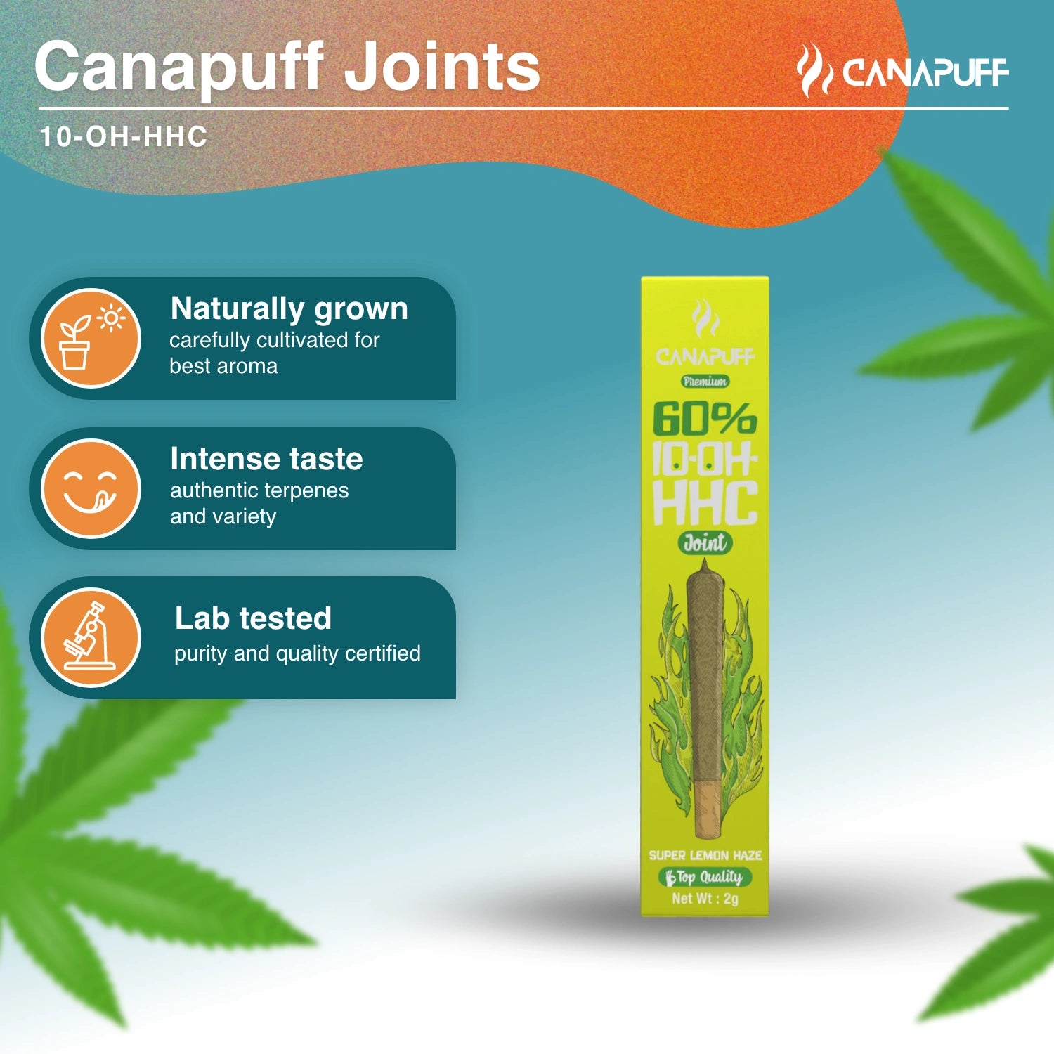 Super Lemon Haze 60% 10-OH-HHC Joint 2g - Canapuff