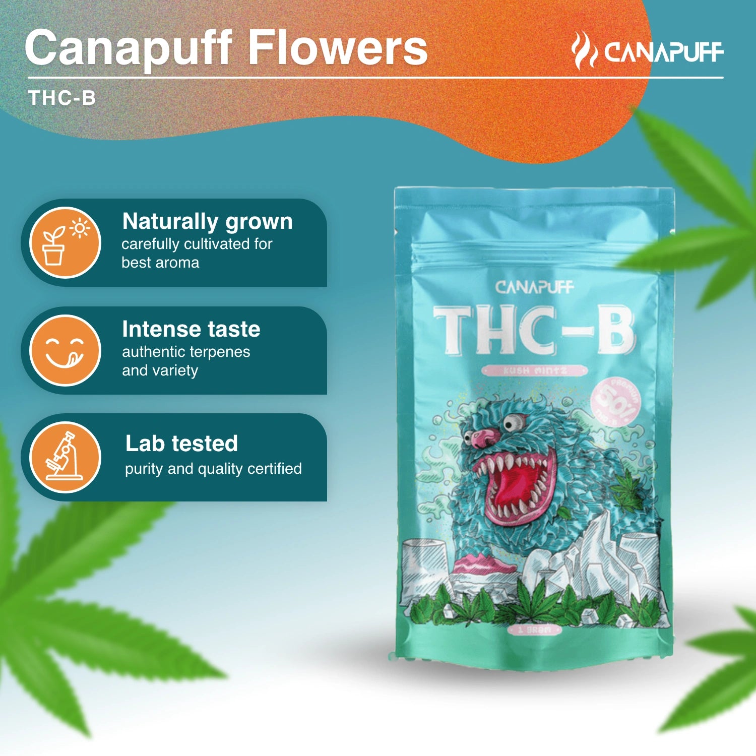 Kush Mintz 50% - THC-B Blüten - Canapuff