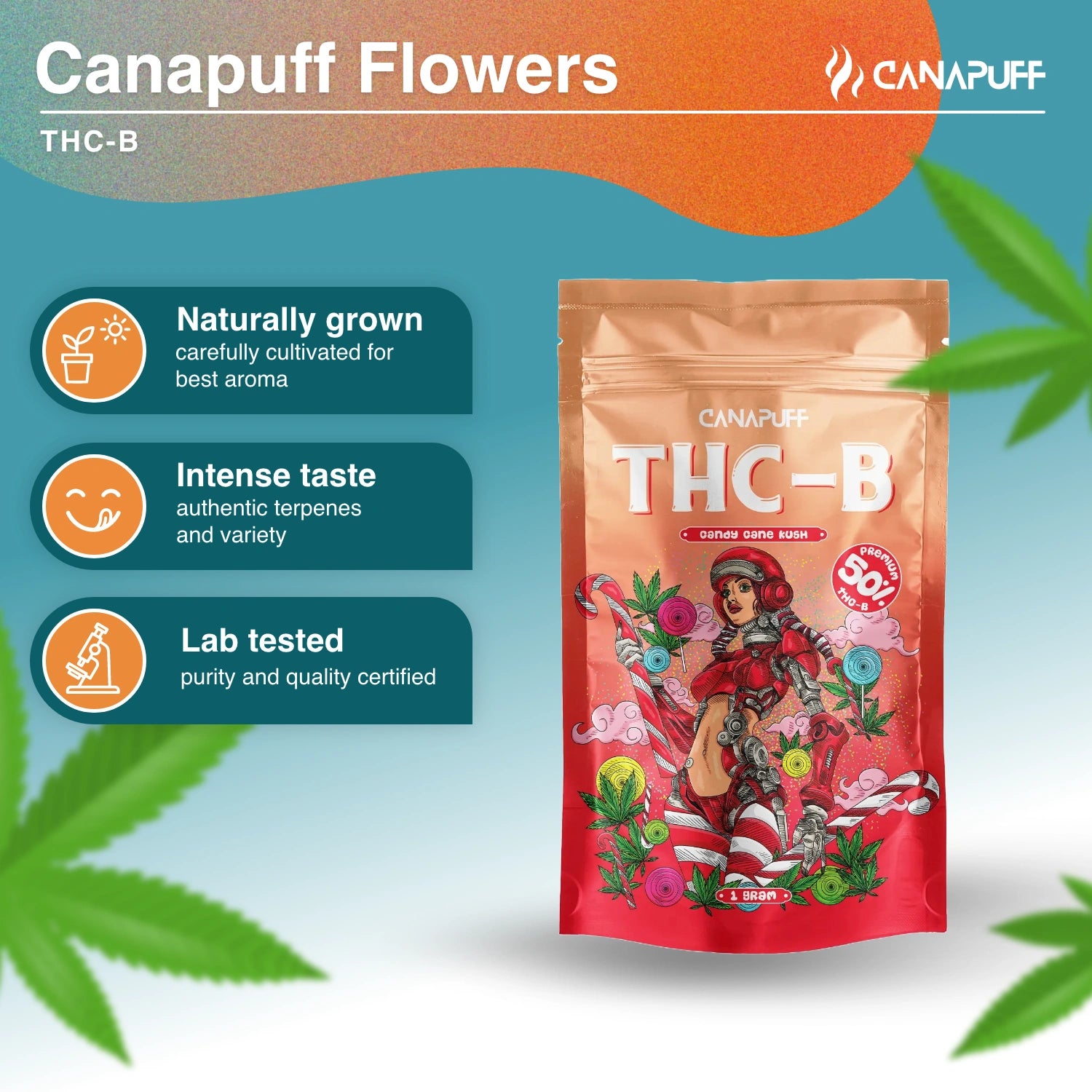 Candy Cane Kush 50% - THC-B Blüten - Canapuff