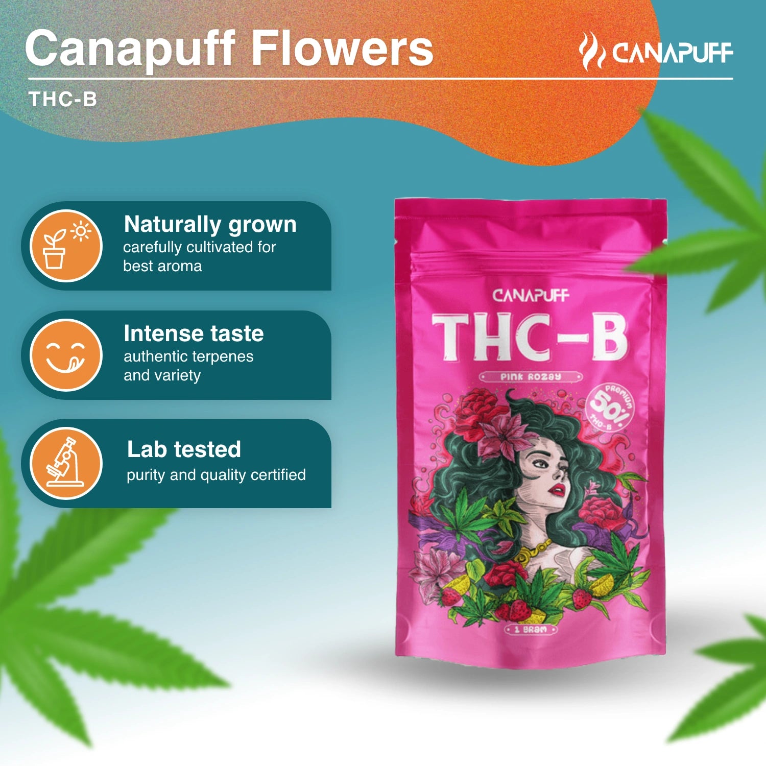 Pink Rozay 50% - THC-B Blüten - Canapuff