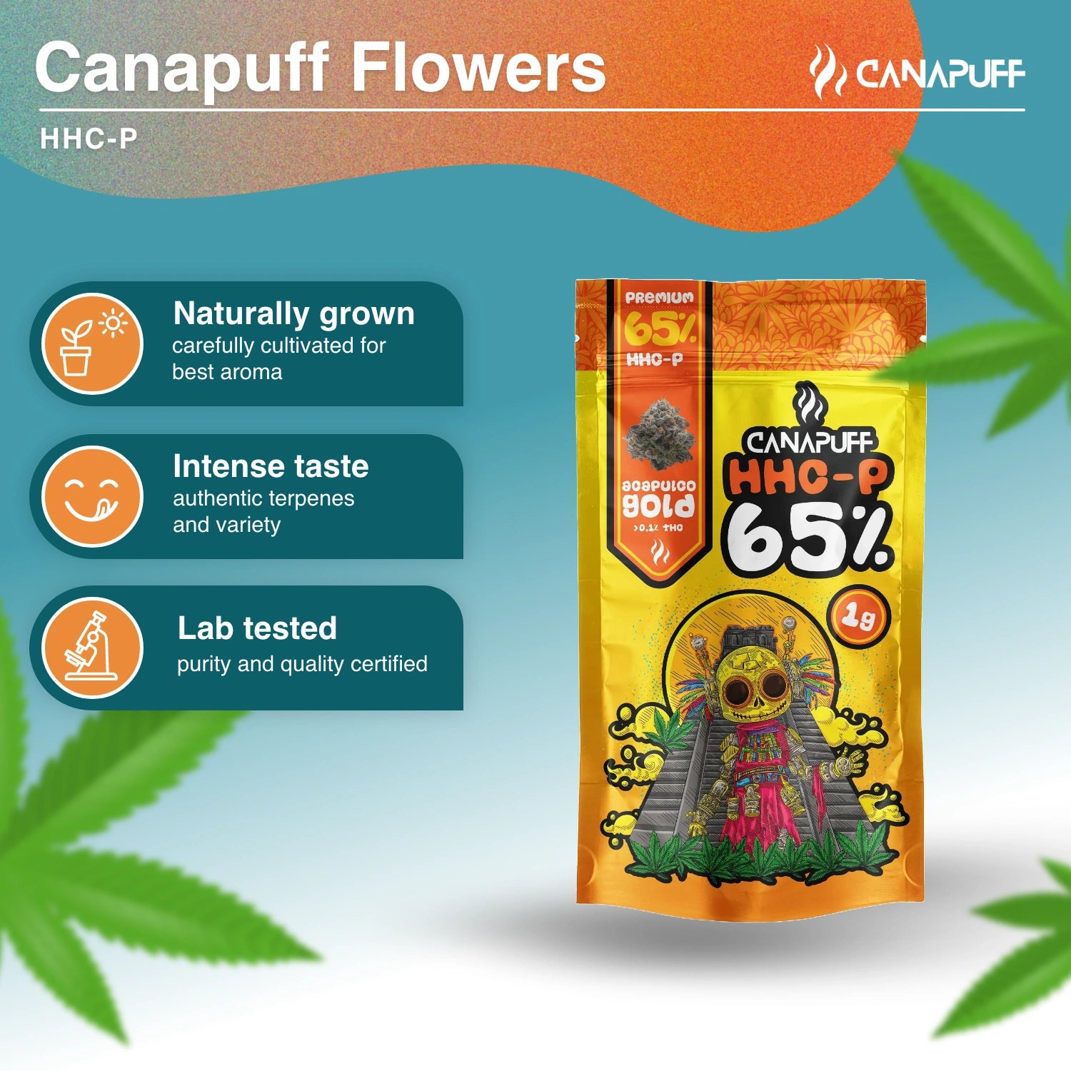 ACAPULCO GOLD 65% - HHC-P Blüten - CanaPuff