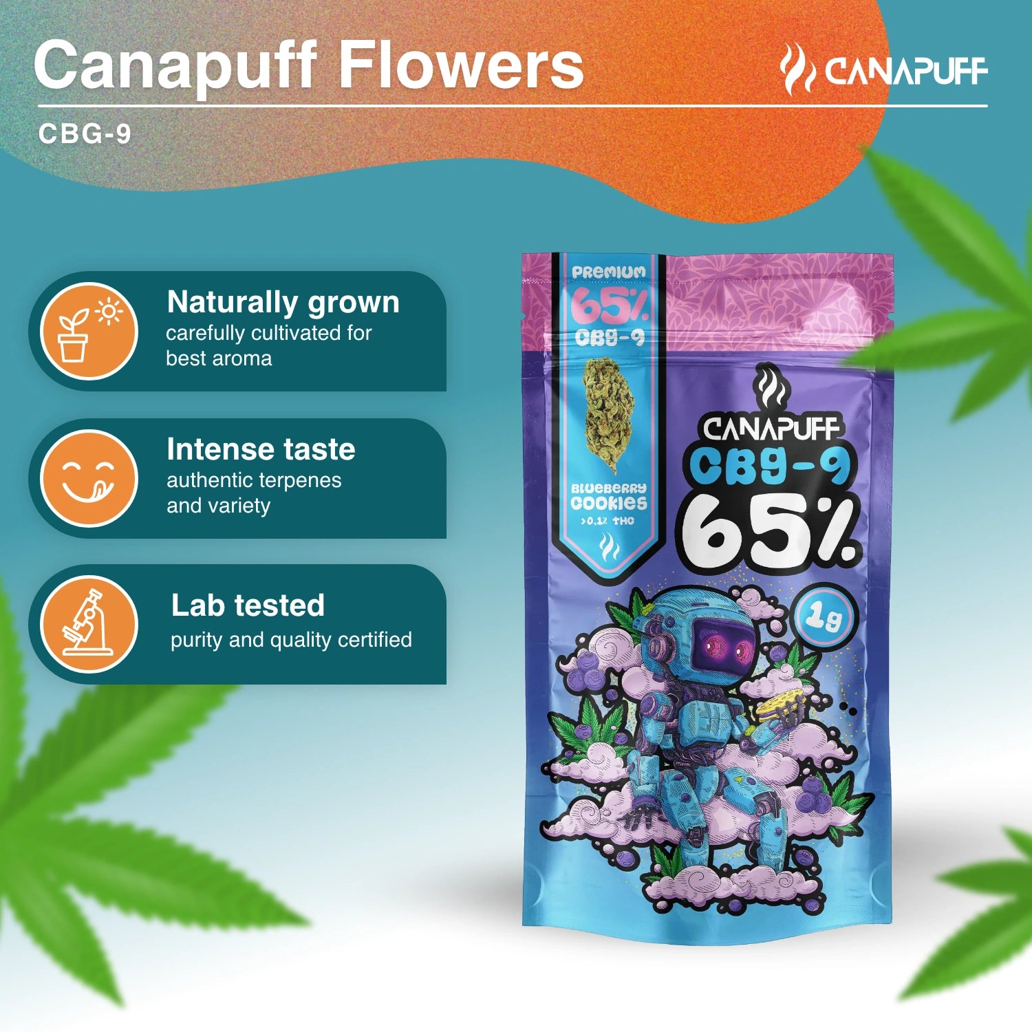 Blueberry Cookie 65% - CBG9 Blüten - Canapuff