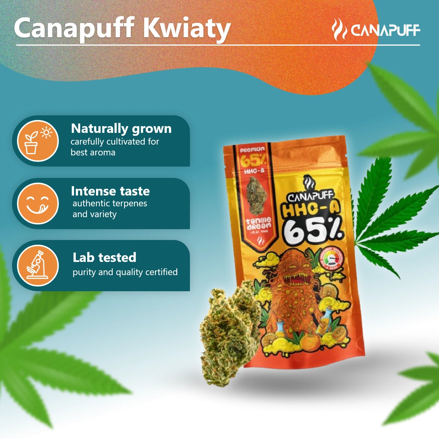 Canapuff - Tangie Dream 65% - HHC-A Blüten