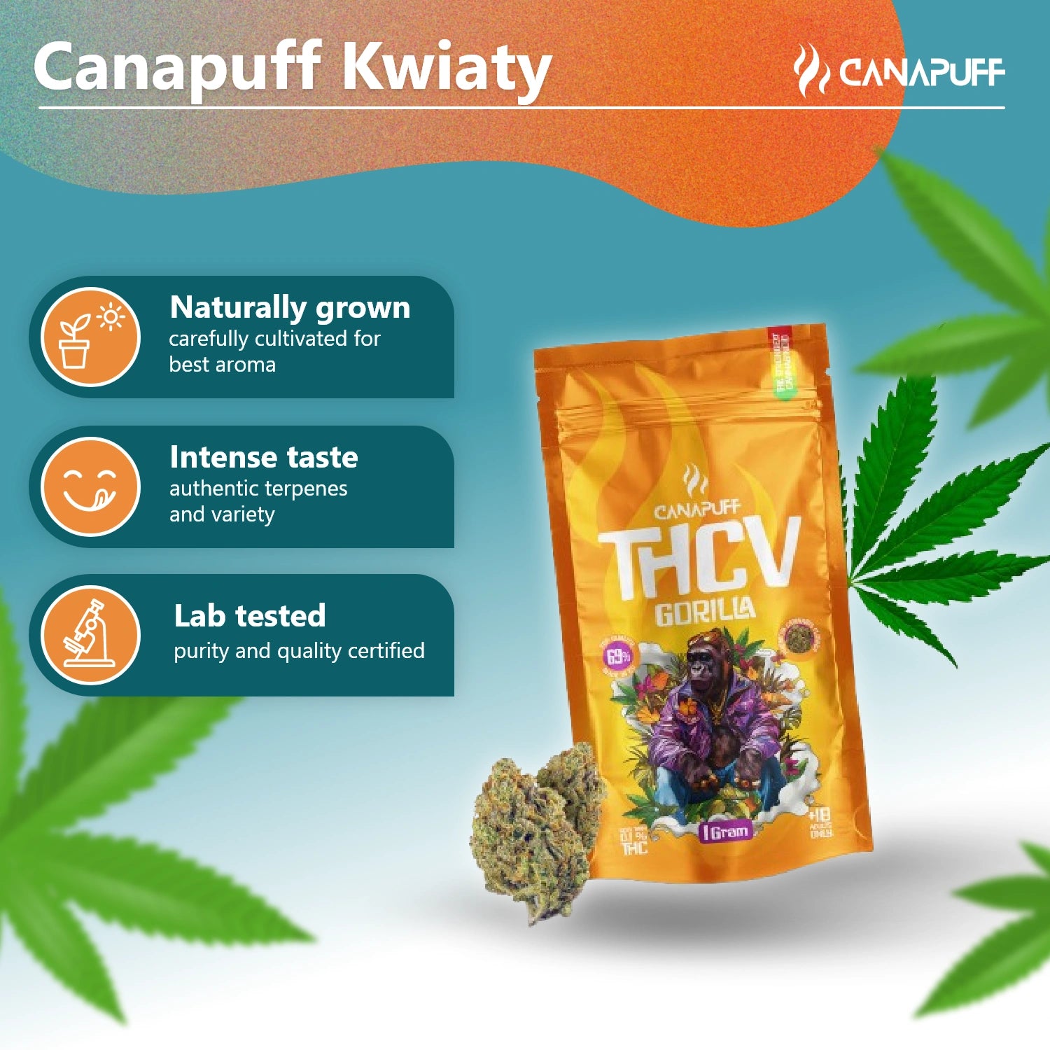Canapuff - Gorilla 69% - THCv Blüten