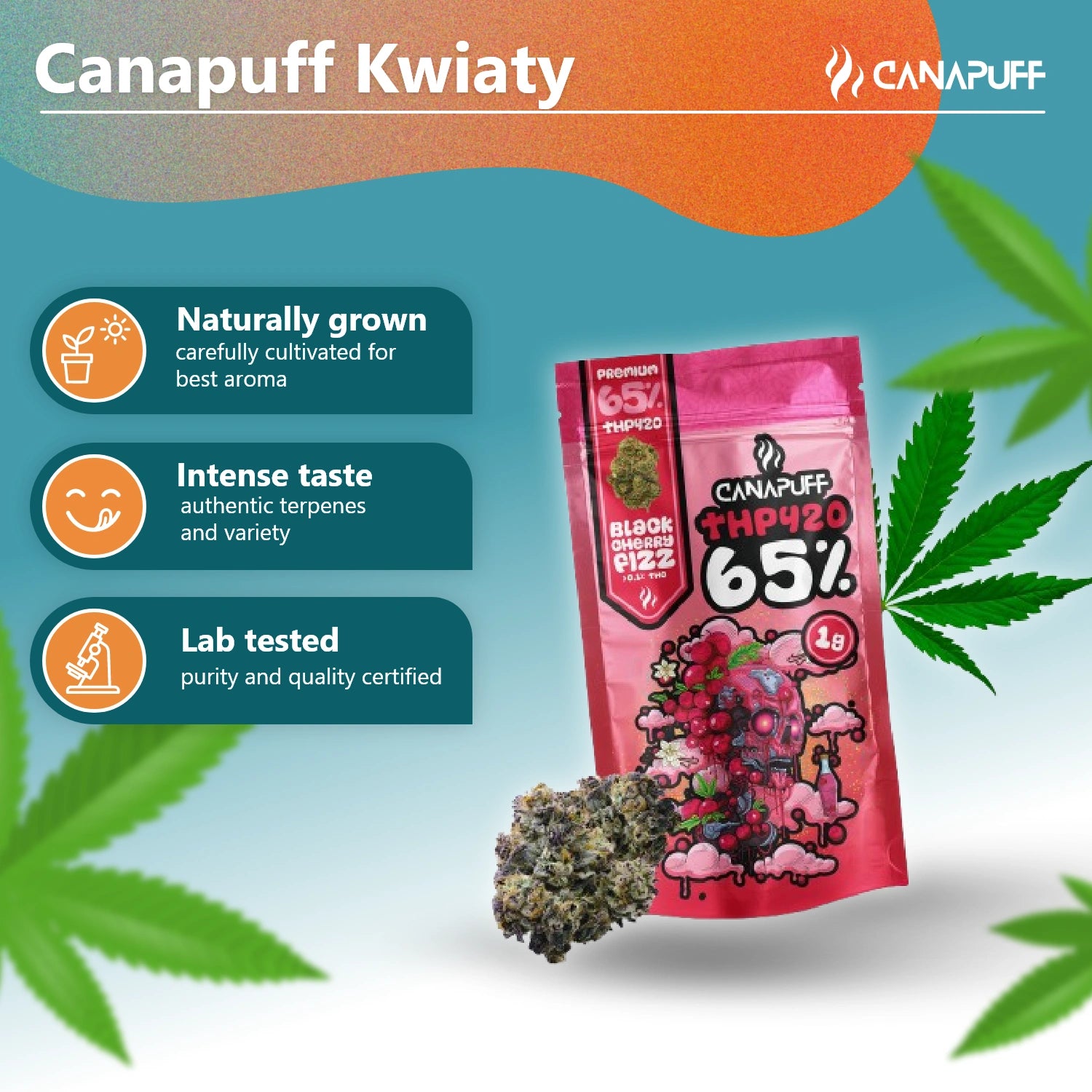 THP420 Blüten Schwarzkirsch-Fizz 65%