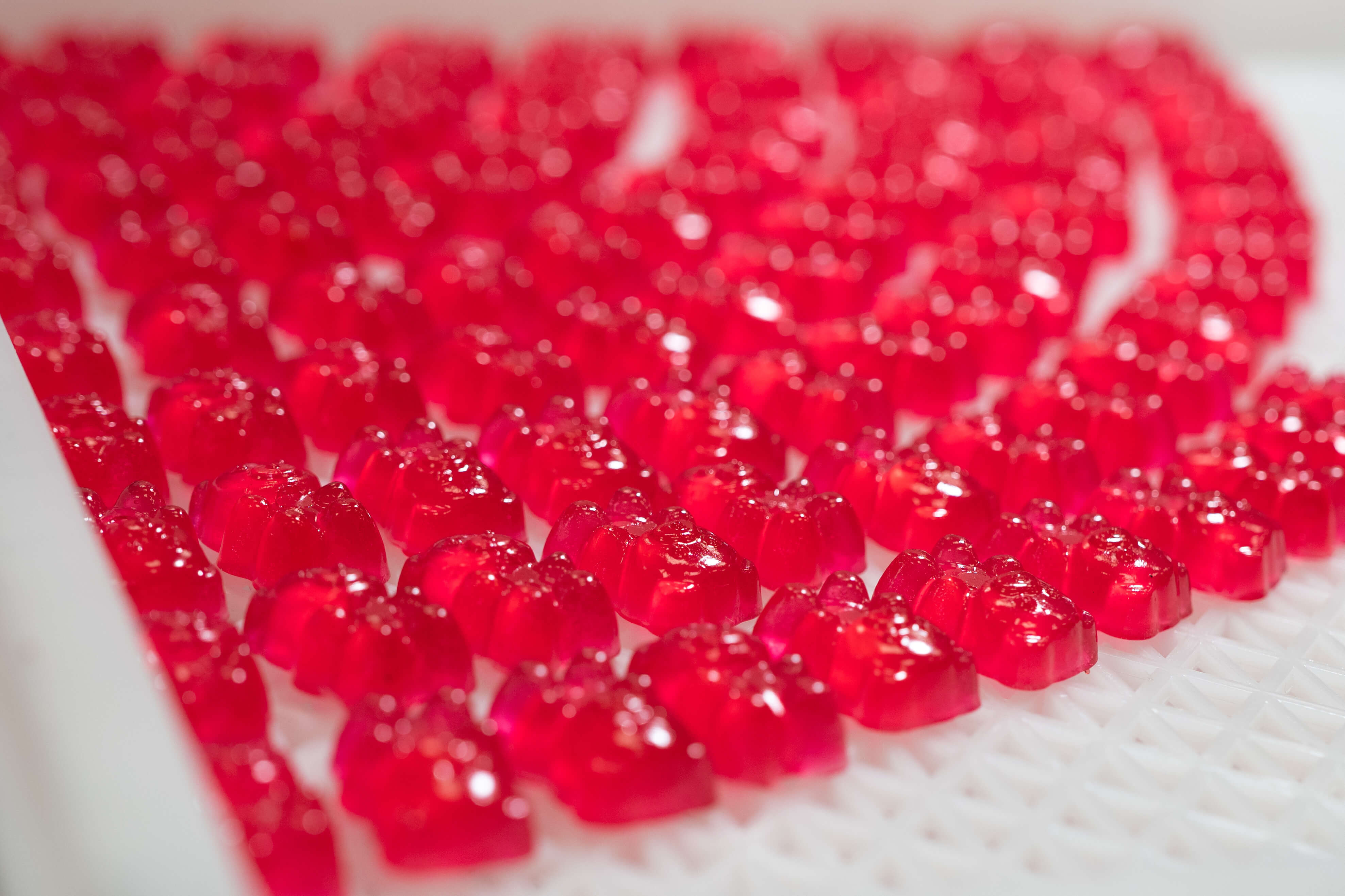 THC Gummibärchen werden hergestellt